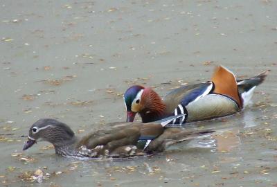 Прикрепленное изображение: mm2.jpg